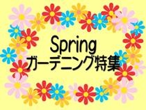 H24�դΥ����ǥ˥��ý�
