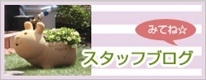 ブログ ブログ