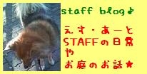 ブログバナー写真 ブログバナー写真