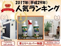 2017年 人気ランキング 2017年 人気ランキング