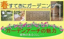 ClipboardImage ClipboardImage